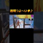 透明つよ～い🐥♪[ソロキャッシュカップ/Solo Cash Cup]【FORTNITE/フォートナイト】#shorts   #みにぴよ #フォートナイト #fortnite #透明 #ソロキャッシュ