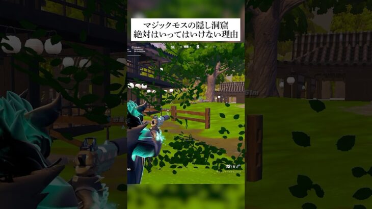 絶対入るな！マジックモスの隠し洞窟！！その理由とは… #フォートナイト #fortnite #小技 #小ネタ