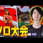 ソロ決勝に行くための立ち回りで行くソロ大会【フォートナイト/Fortnite】