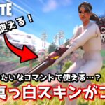 特殊なコマンド入力で使える『隠しスキン』があるんだけどwww【Fortnite：フォートナイト】