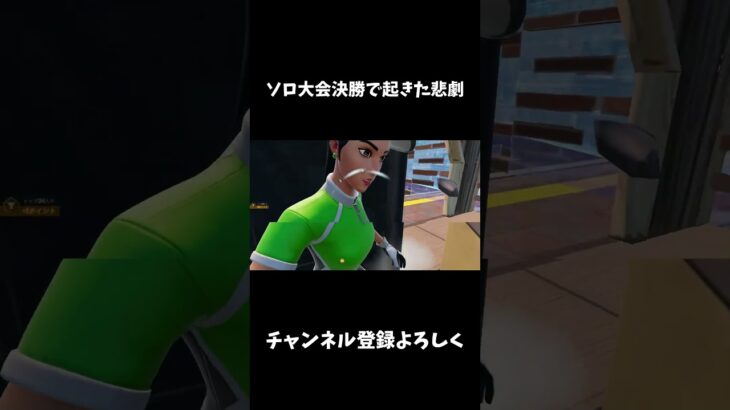 ソロ大会決勝で起きた悲劇【フォートナイト/FORTNITE】