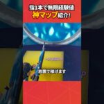 指1本で無限レベルアップな件#フォートナイト #フォトナ #fortnite #bug #glitches #バグ #裏技 #グリッチ #glitch