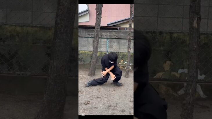 【祝1万回再生㊗️】orange justice 踊り方