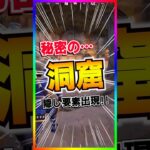 激アツの隠し要素‼️秘密の洞窟が熱すぎる‼️入る方法超簡単💡【フォートナイト/fortnite】