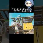 全ての銃でチートを使ってへむちゃんねるをボコボコにしたった#フォートナイト #fortnite