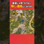 この隠し通路気づけた人いるの？#フォートナイト #フォトナ #fortnite #bug #glitches #バグ #裏技 #グリッチ #glitch