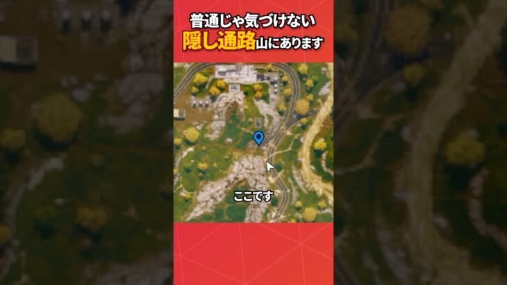 この隠し通路気づけた人いるの？#フォートナイト #フォトナ #fortnite #bug #glitches #バグ #裏技 #グリッチ #glitch