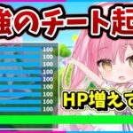 【フォートナイト】ほぼ無敵！HPの上限を超アップさせるチートコードを使って無双してみたｗｗｗｗｗｗ【ゆっくり実況/Fortnite/縛り/ネオンch/茶番】