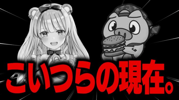 消えた最強PADプレイヤーの現在何をしているのか全部晒します【フォートナイト/Fortnite】
