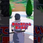 フォートナイトで流行りのナルトダンスが踊れる？！ #フォートナイト #fortnite #ナルトダンス