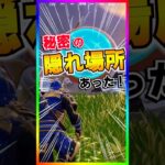 衝撃‼️新バンカーに秘密のハイドスポットが存在した💡【フォートナイト/fortnite】