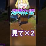 ここには無限がありました【フォートナイト/fortnite】#shorts #fortnite #フォートナイト #ランク #ゲーム実況 #透明 #バグ #bug #shortsfeed