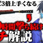 【チート疑惑!?】DMRを100時間練習したらエイムが覚醒したｗｗ【フォートナイト/Fortnite】
