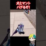 犬とカラスマントでバグるらしい！検証だ！  #フォートナイト #FORTNITE  #shorts #フォトナ #vtuber
