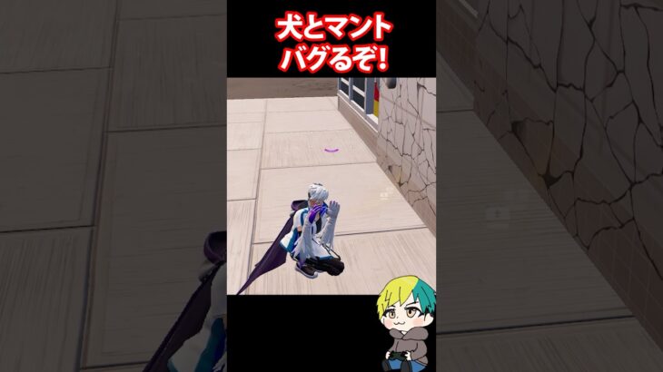 犬とカラスマントでバグるらしい！検証だ！  #フォートナイト #FORTNITE  #shorts #フォトナ #vtuber