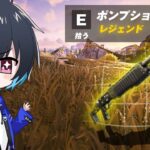 伝説の武器が帰ってきた【フォートナイト/Fortnite】