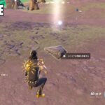 スパイアがある場所でスパイアの残骸を収集する スーパーノヴァ アカデミーの崩壊！クエスト【フォートナイト Fortnite】