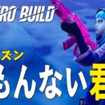 【ゼロビルド実況】ソロで病む前にこれ試して【フォートナイト】