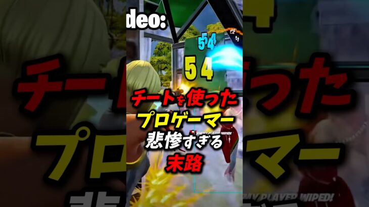 エピックから裁判を起こされた悲惨すぎるチーター #フォートナイト #スイッチ勢 #fortnite