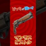 マンモスvsコンバットAR🔥どっちが最強？？ #フォートナイト #fortnite #ゼロビルド #どっちにするの