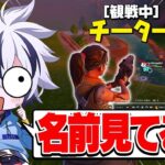 上位勢潰し?害悪チーターが36キルでソロ大会荒らしてたwww【フォートナイト/FORTNITE】