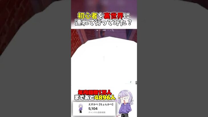 バグで裏世界行けるって聞いたけど… #フォートナイト#Fortnite#YouTube#youtubeshorts #youtubeshorts #shortsfeed