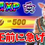 【最速レベル上げ無限XP】放置でLv200!?一瞬でレベルアップできる神マップ！#フォートナイトレベル上げ #フォートナイト無限XP #xp無限マップ