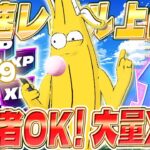 【フォートナイト】放置でXP上昇！簡単にレベルアップしたい人必見！バグなし！初心者OK！完全ガイド付き！ #fortniteXP レベル上げ XP稼ぎ