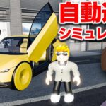 【ROBLOX】テスラを買う！自動運転シミュレーターがリアルすぎる！自動運転で街を走り回る！リアルな再現度ですごい！ロブロックス実況【ほぅ】